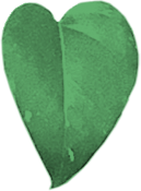 accueil_leaf_2